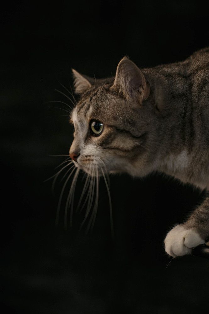 Photograph by Рымакова Арина