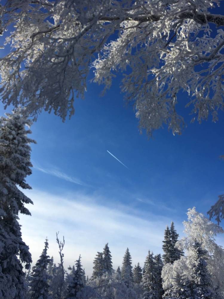 Photograph by Анастасия Сартакова