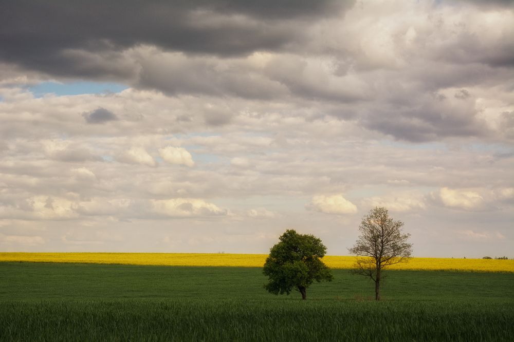 Photograph by Сергей Дишук