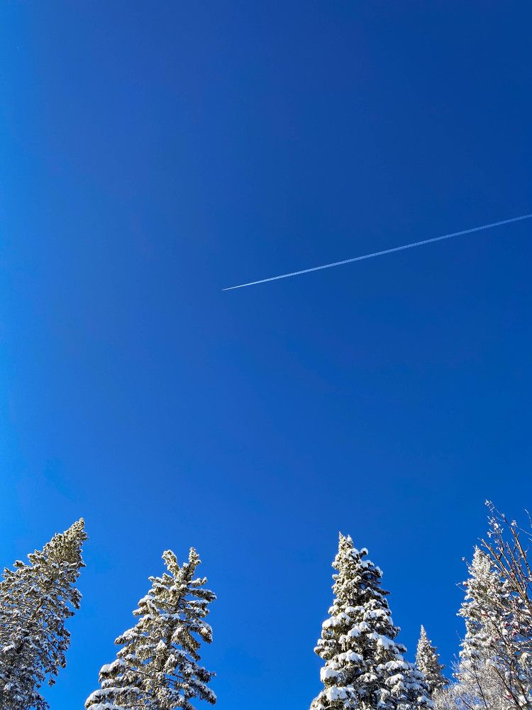 Photograph by Анастасия Сартакова