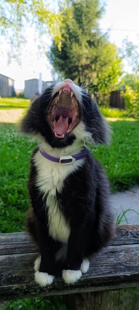 Photograph by Татьяна Исаева