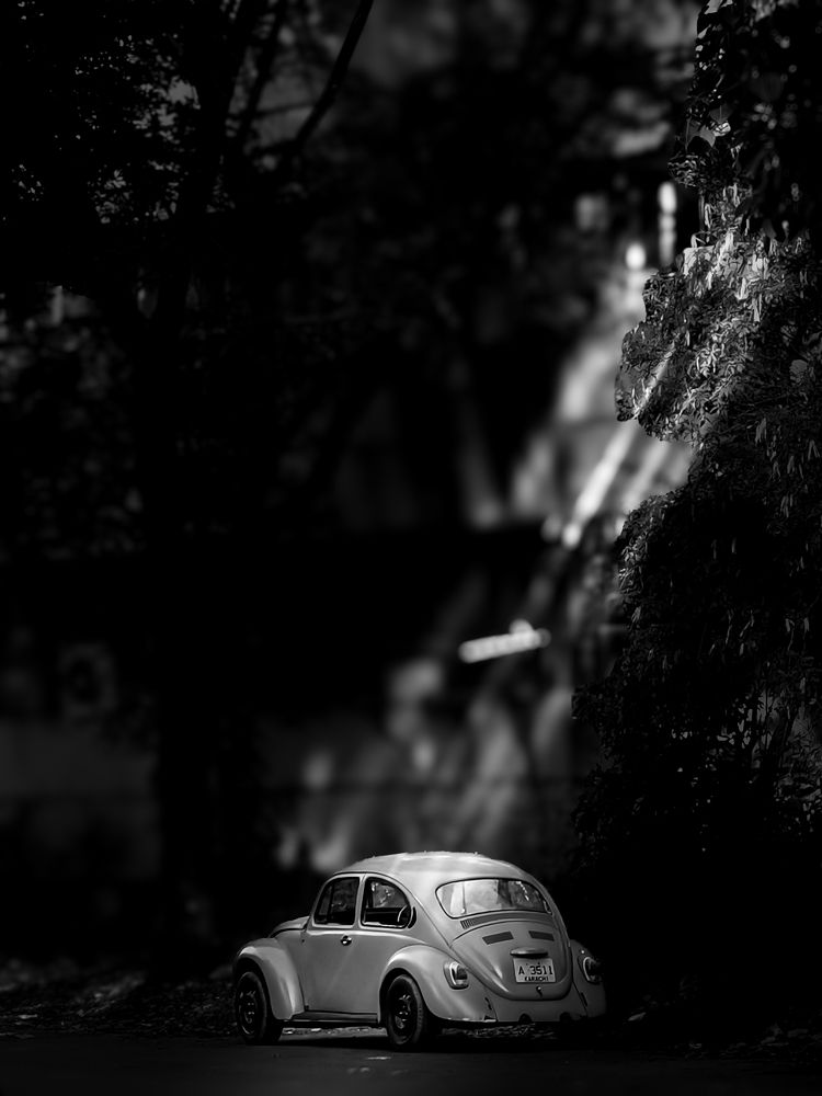 Фотография автора Malik Mohsin