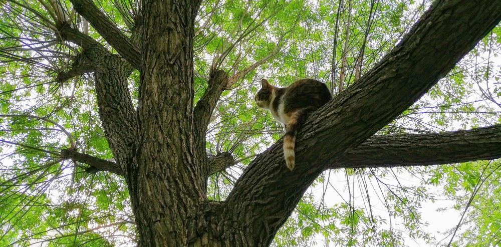 Photograph by Лариса Неудачина