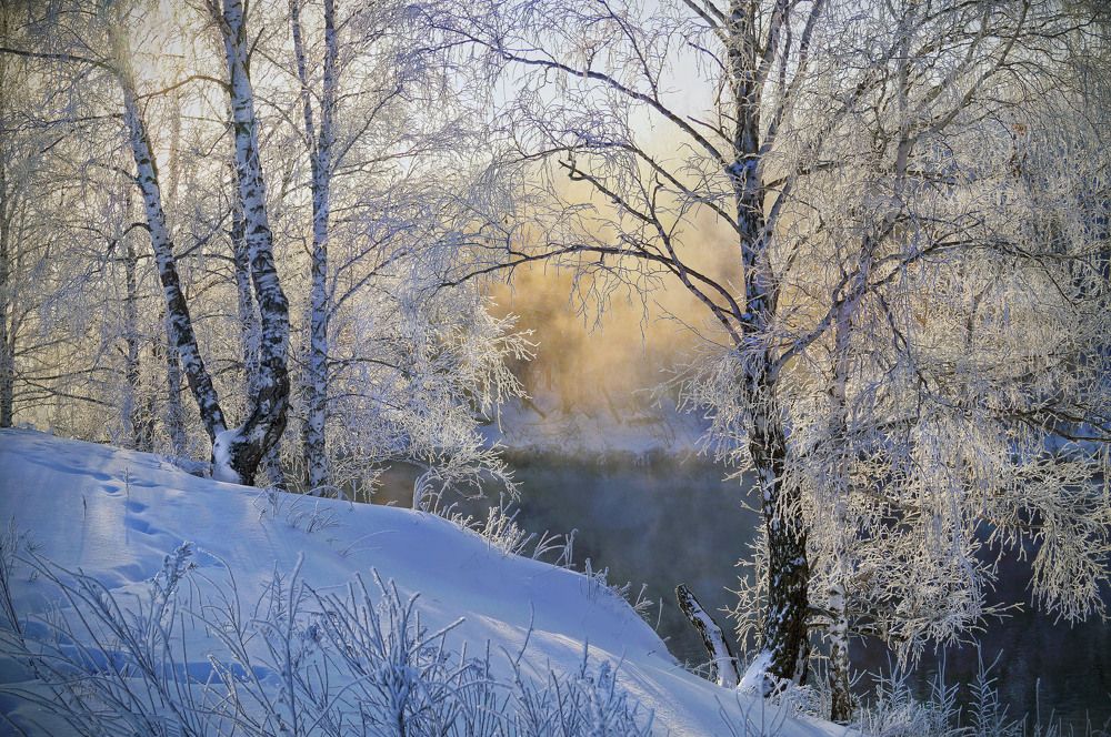 Photograph by Мишустина Татьяна