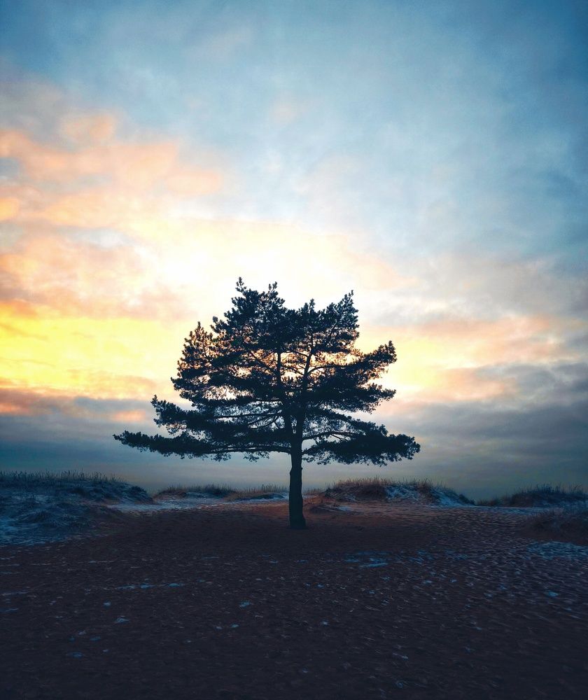 Фотография автора Ekaterina Sapezhinskaya