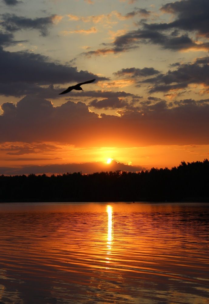 Photograph by Татьяна Сычёва