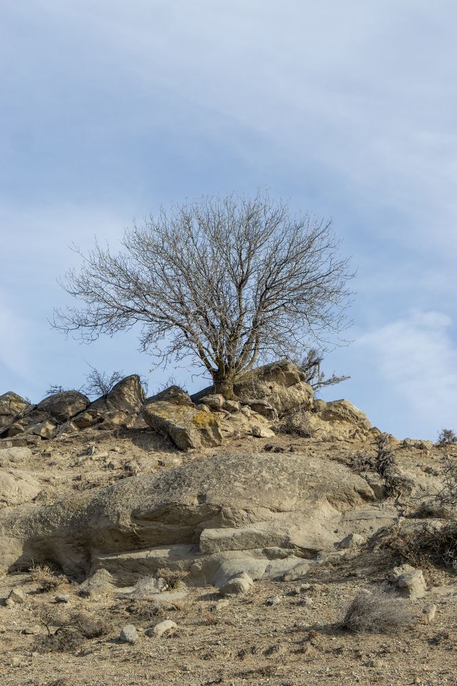 Photograph by Анастасия Сартакова