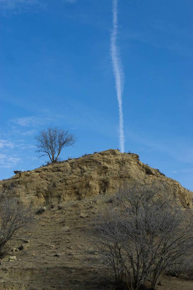 Photograph by Анастасия Сартакова