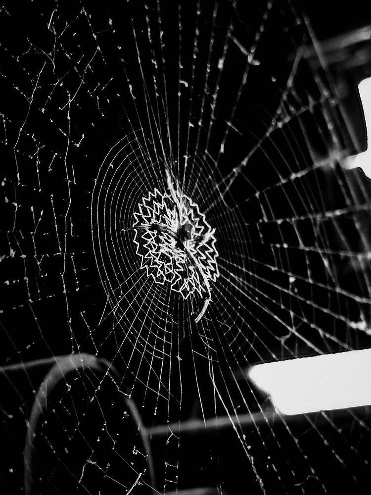 Photograph by Ashiq P F Mohammed