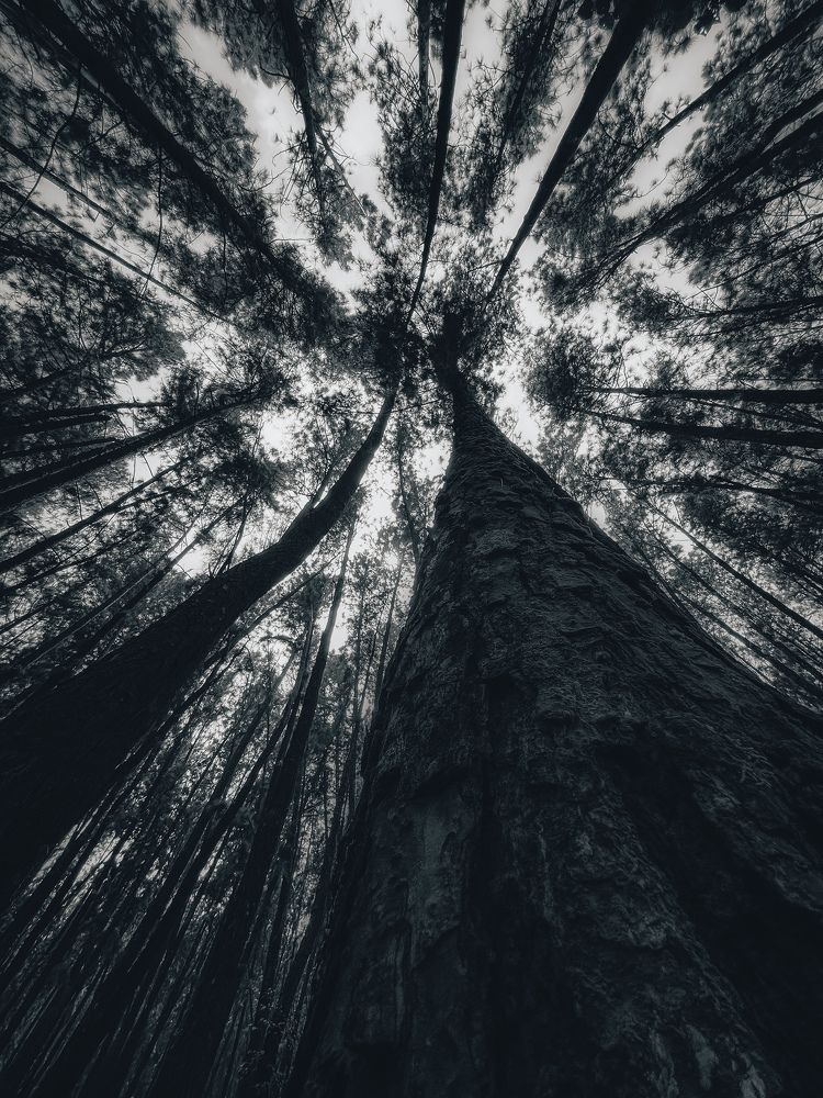 Photograph by Ashiq P F Mohammed