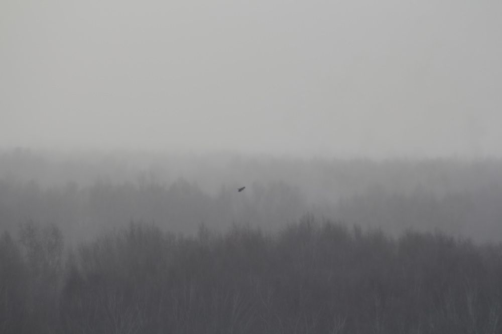 Photograph by Natasha Kim