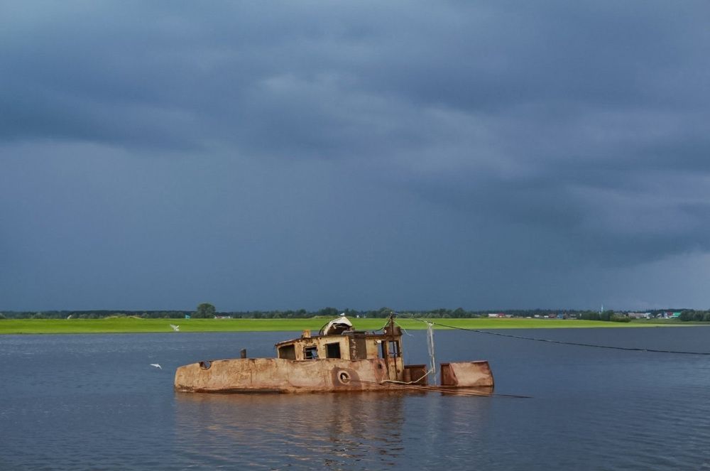 Photograph by Natasha Kim