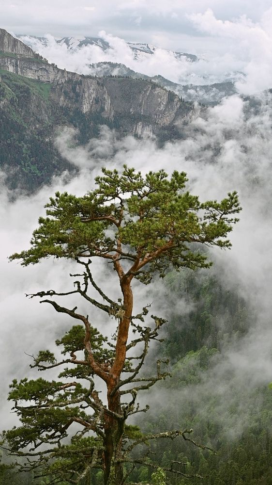 Photograph by Iva Ajva