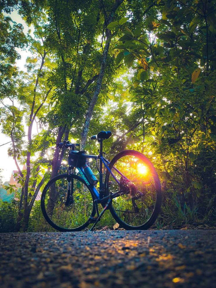 Photograph by Ashiq P F Mohammed