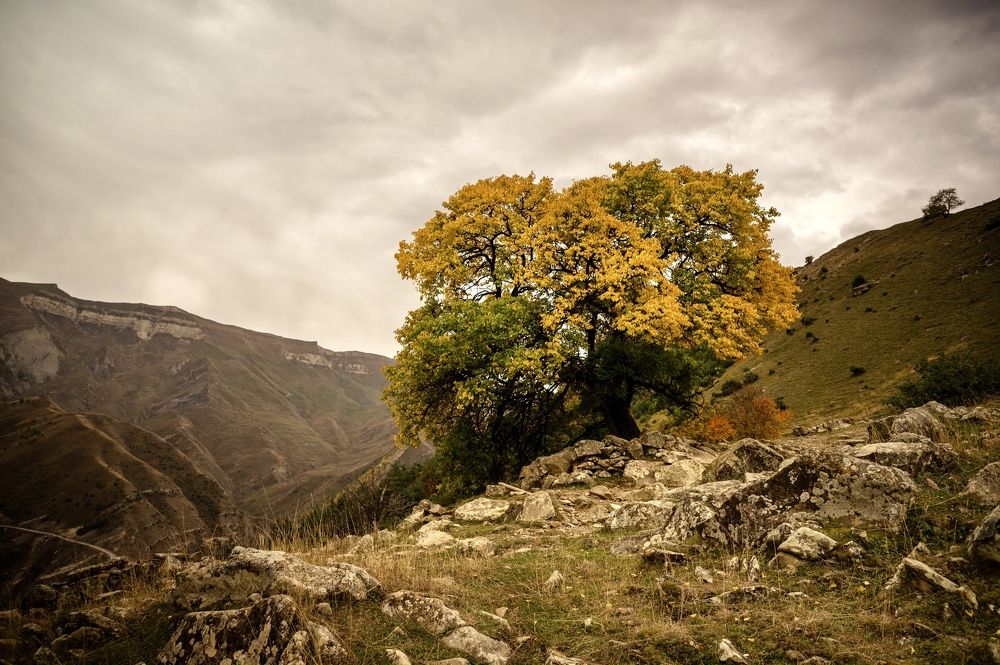 Photograph by Iva Ajva