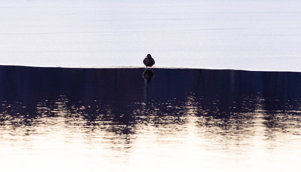 Photograph by Svetlana Porokhovnikova