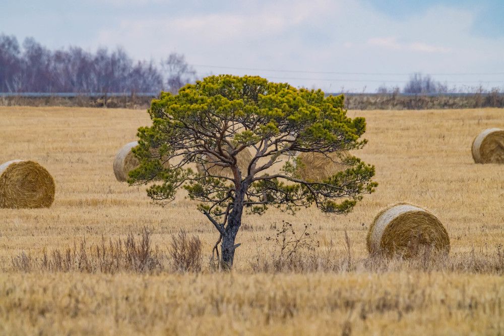 Photograph by Максим Фролов