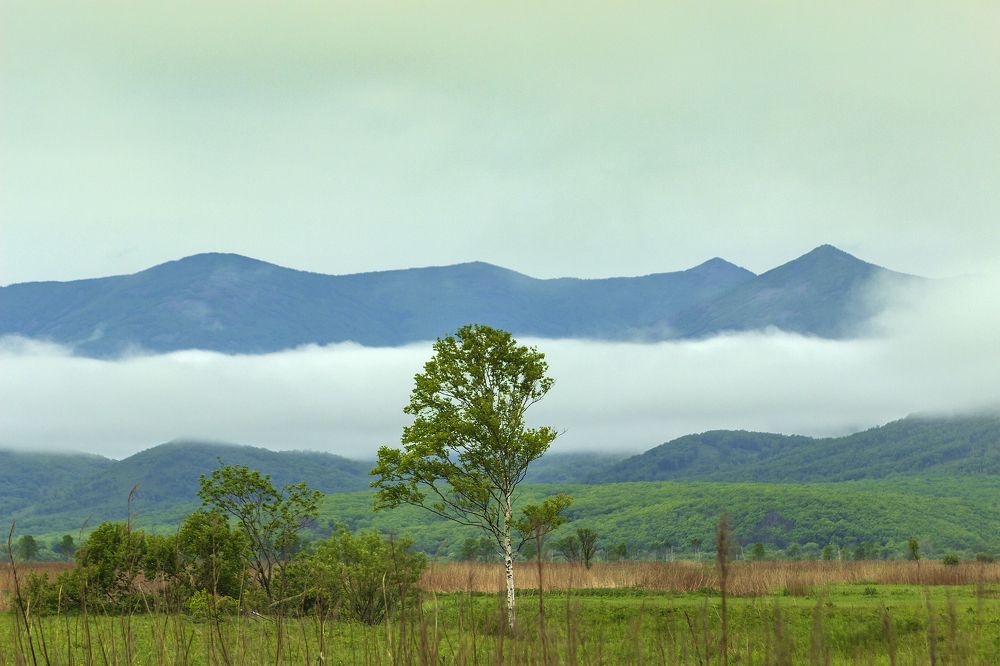 Photograph by Sergey Tsubanov