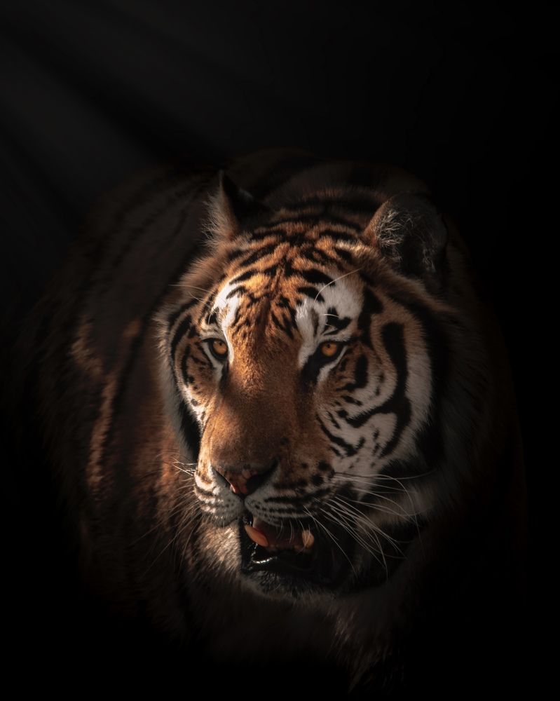 Photograph by Ángel Esteban