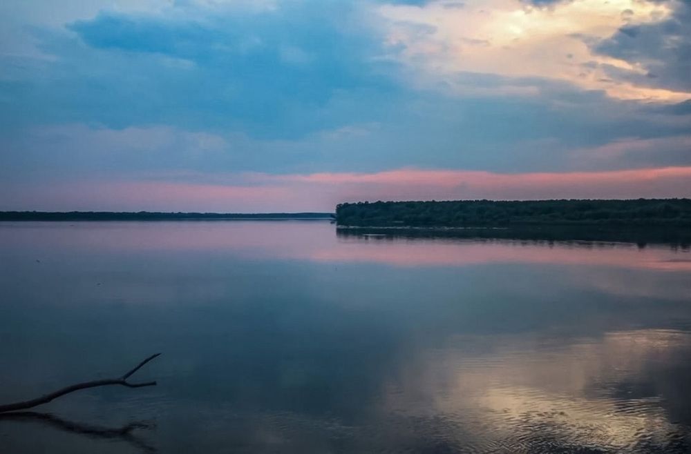 Photograph by Natasha Kim