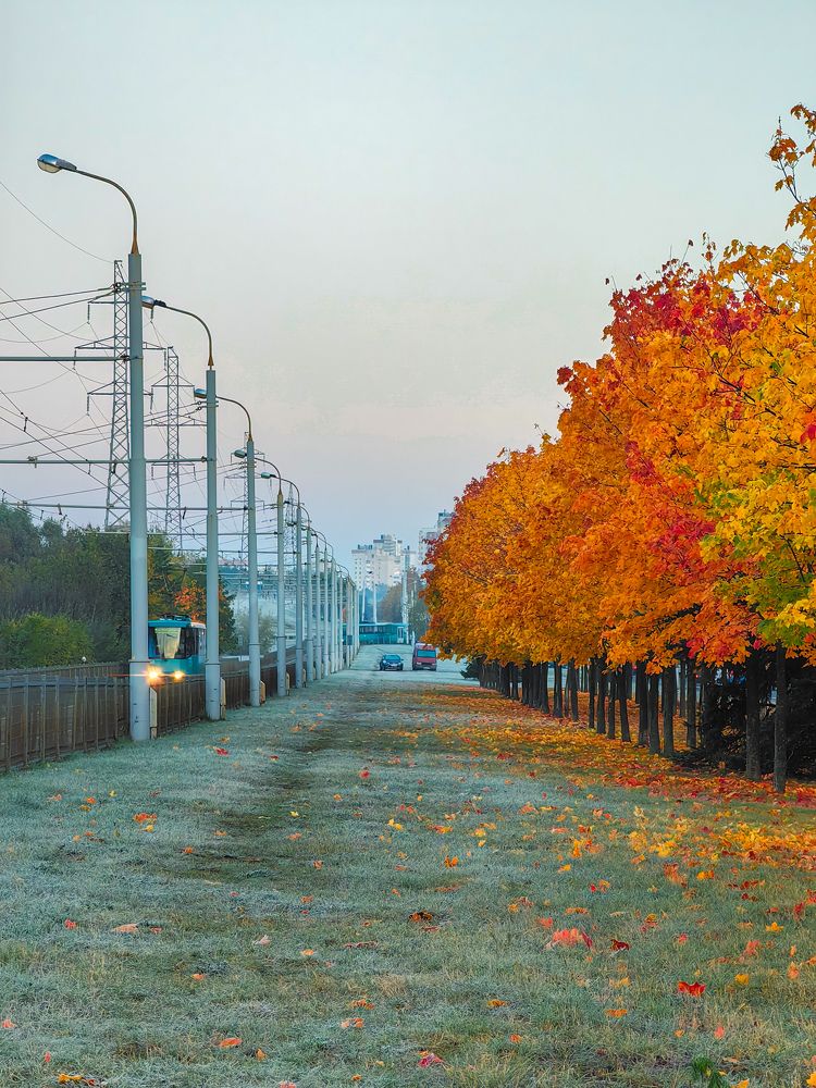 Фотография автора Максим