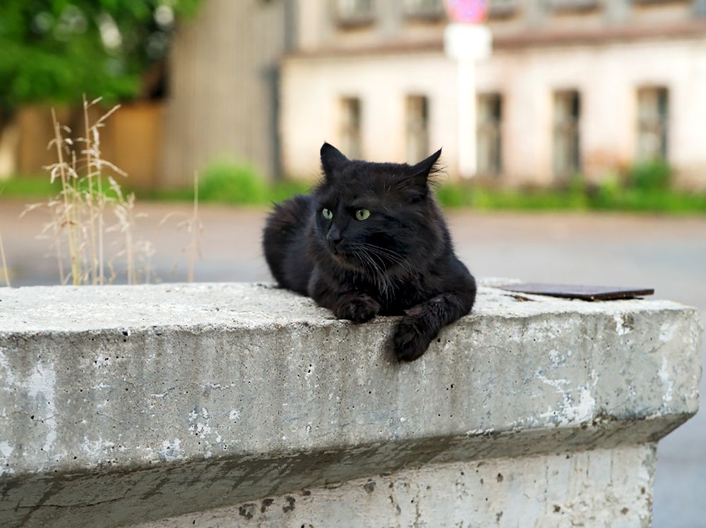Photograph by Смирнов Алексей