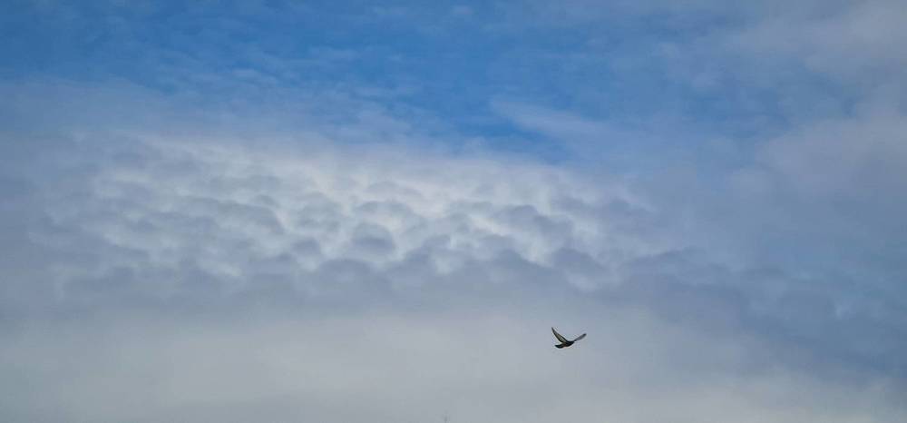 Photograph by Natasha Kim