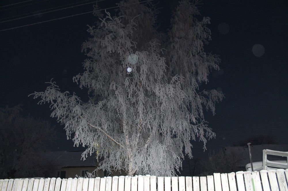 Photograph by Людмила Павловна