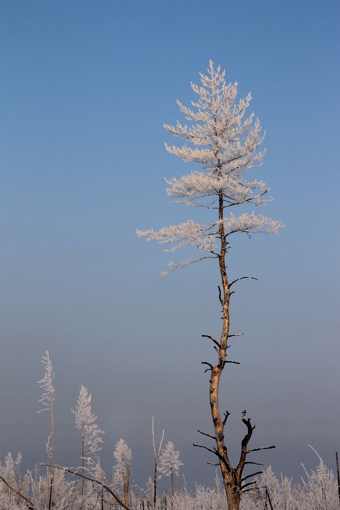 Photograph by Екатерина Кузнецова