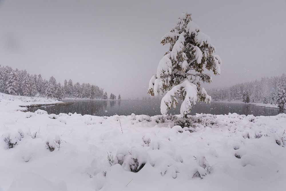 Photograph by Наталья Дроздова