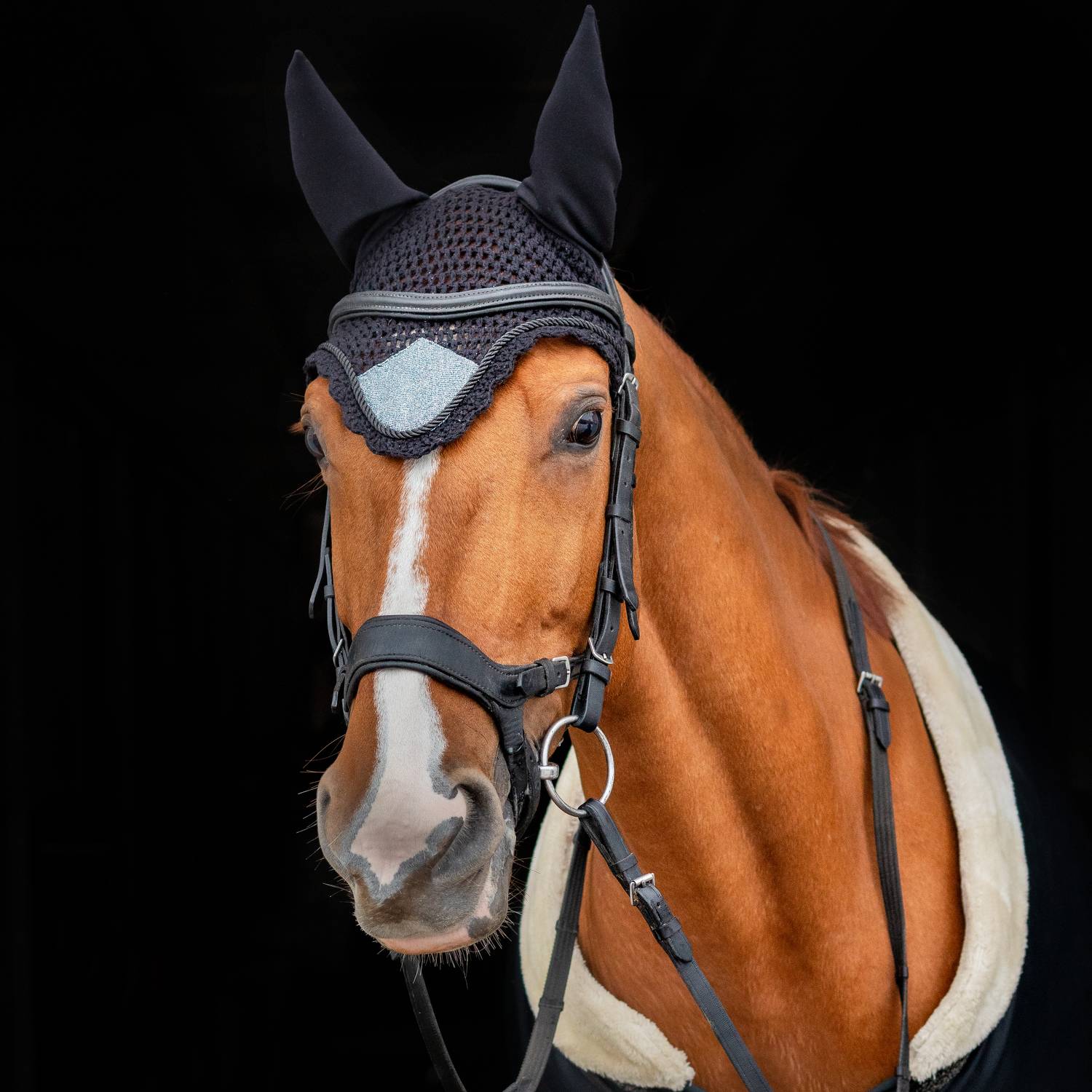 Фотография #11338211