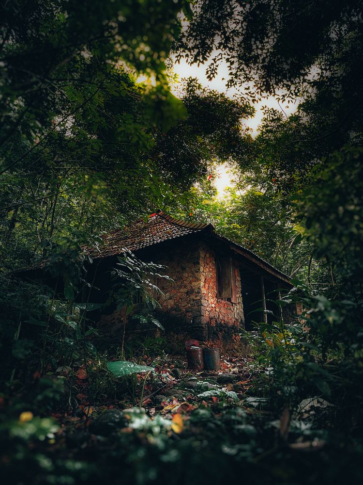 Photograph by Ashiq P F Mohammed