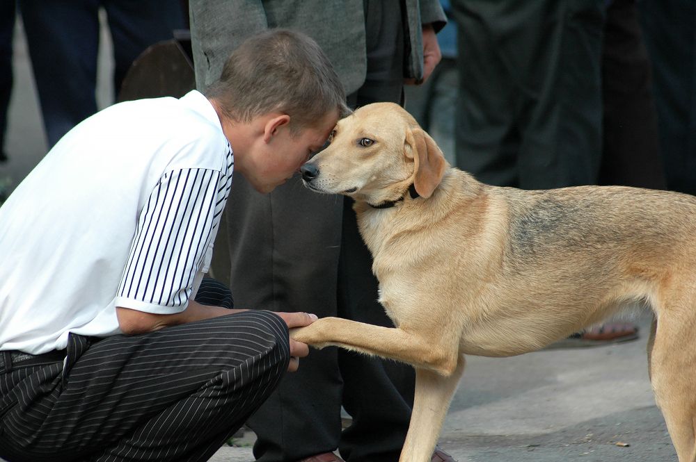 Photograph by Алексей Патлах