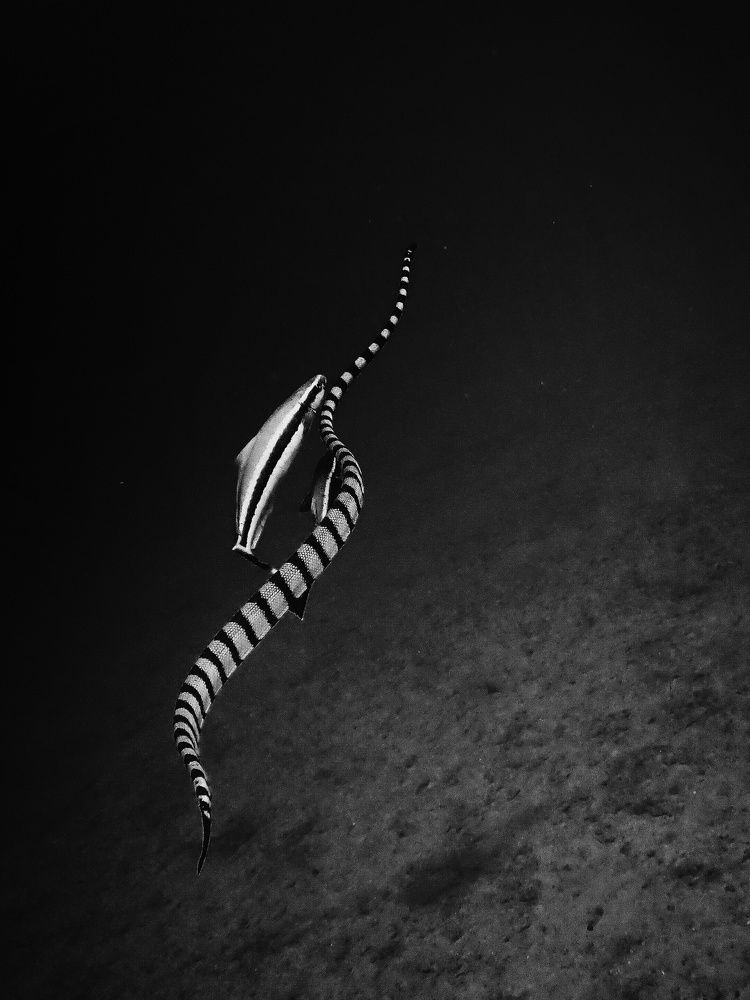 Photograph by Кирилл Леднев