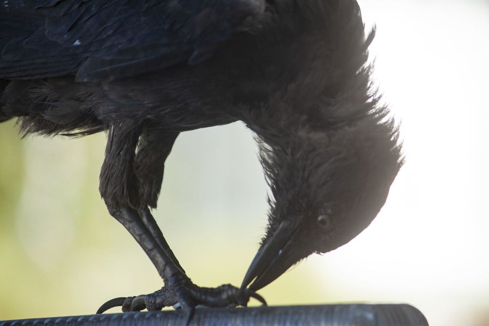 Photograph by Владислав Капанов