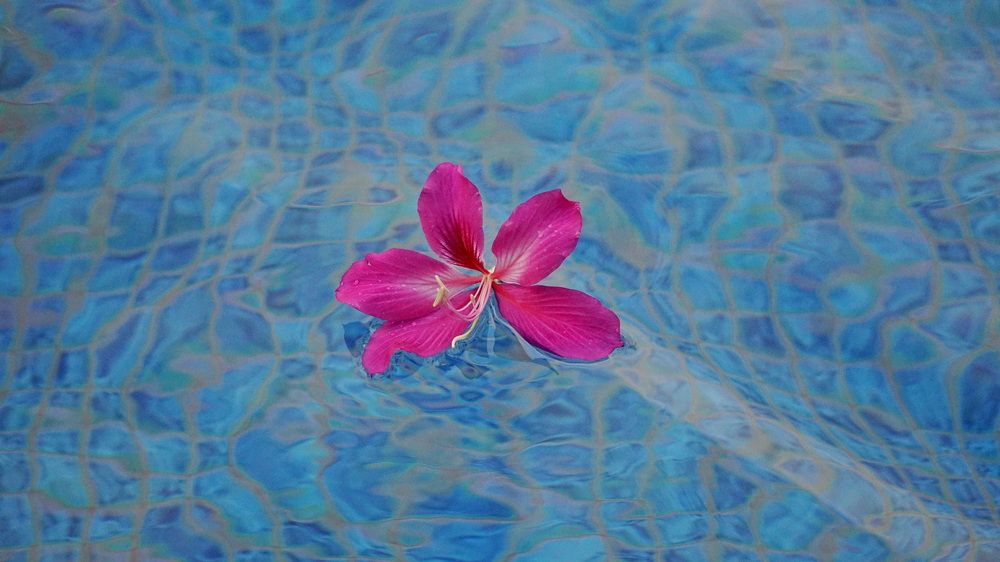 Photograph by Оксана Трофименко