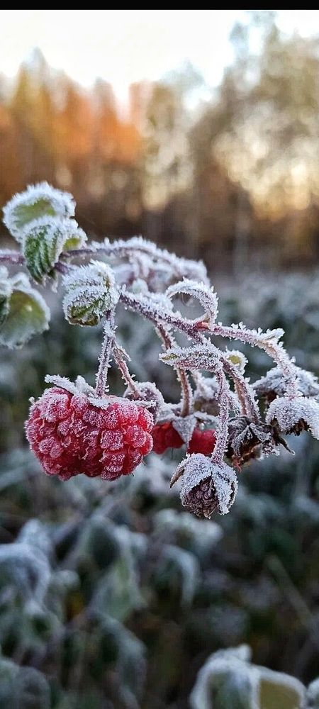 Photograph by Татьяна Исаева