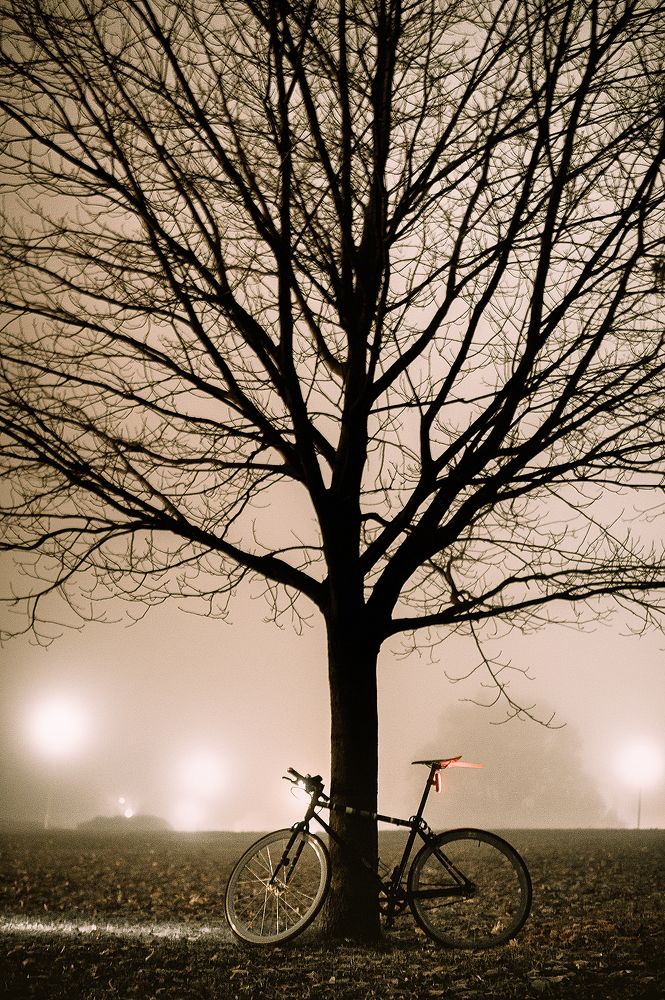 Фотография автора Максим Светличный