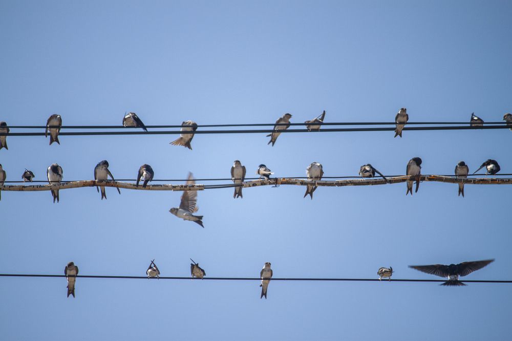 Photograph by Владислав Капанов