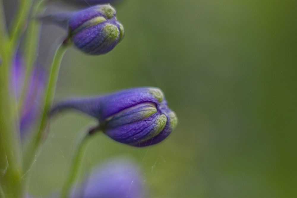 Photograph by Владислав Капанов