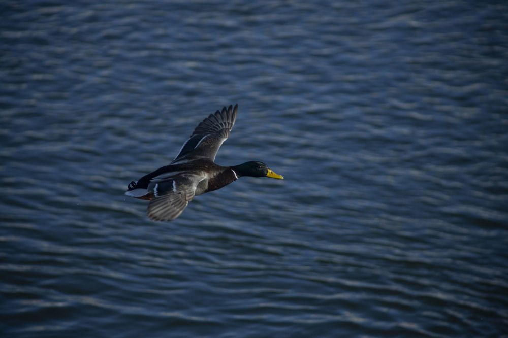 Photograph by Владислав Капанов