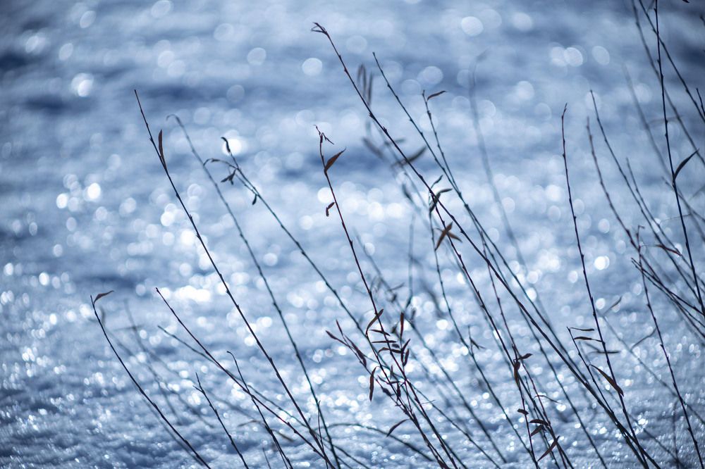 Photograph by Владислав Капанов