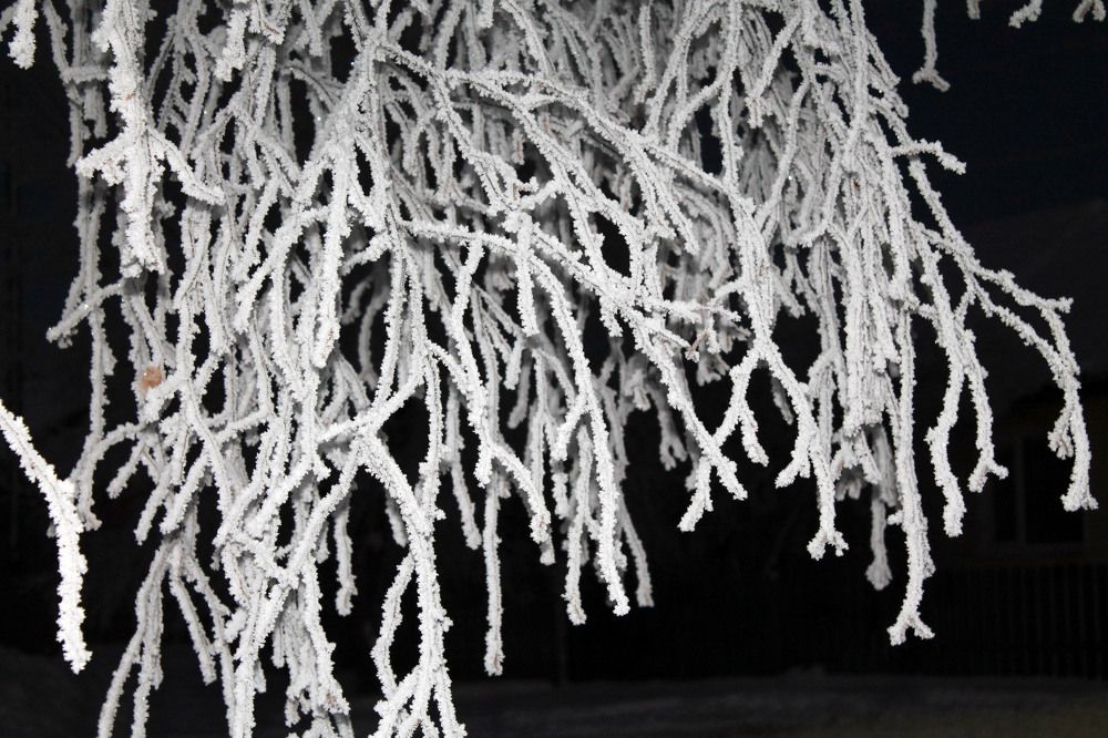 Photograph by Людмила Павловна