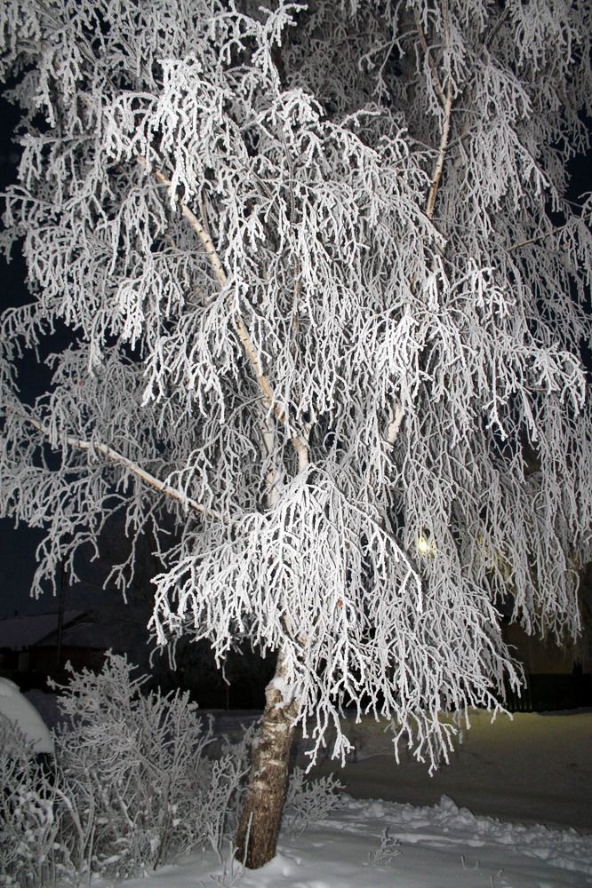 Photograph by Людмила Павловна