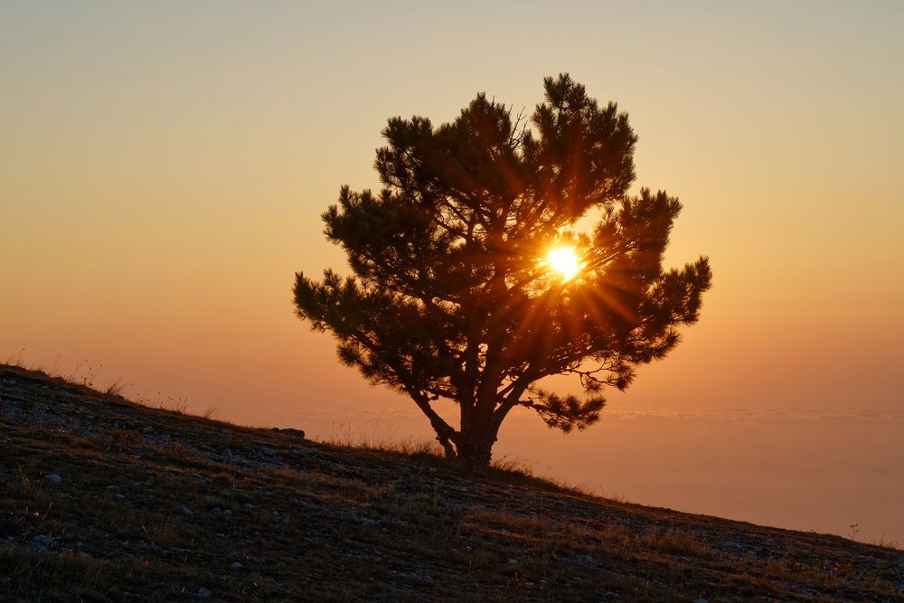 Выше облаков