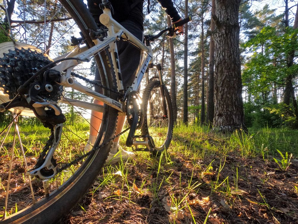 Photograph by Дмитрий Костяков