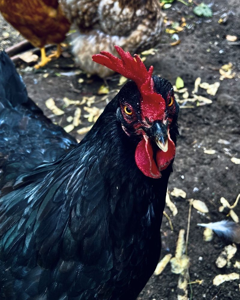 Photograph by Marina Odintsova