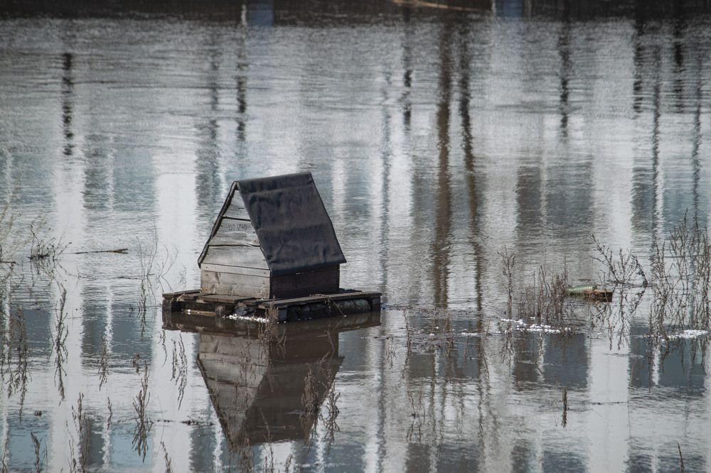 Photograph by Владислав Капанов