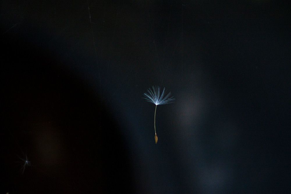 Photograph by Владислав Капанов