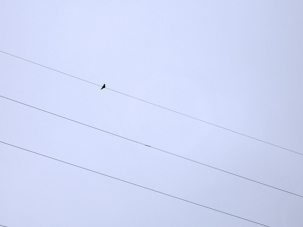 Photograph by Pavel Gukov